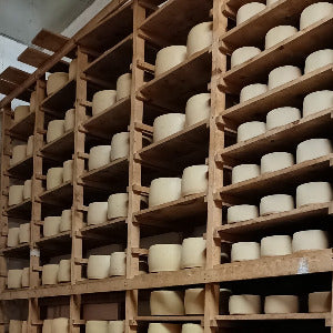 Pecorino "Monte Gonare"