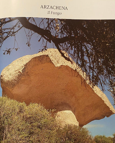 Bildband "Lebende Steine"