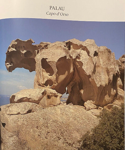 Bildband "Lebende Steine"