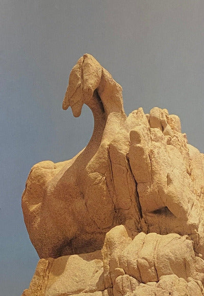 Bildband "Lebende Steine"